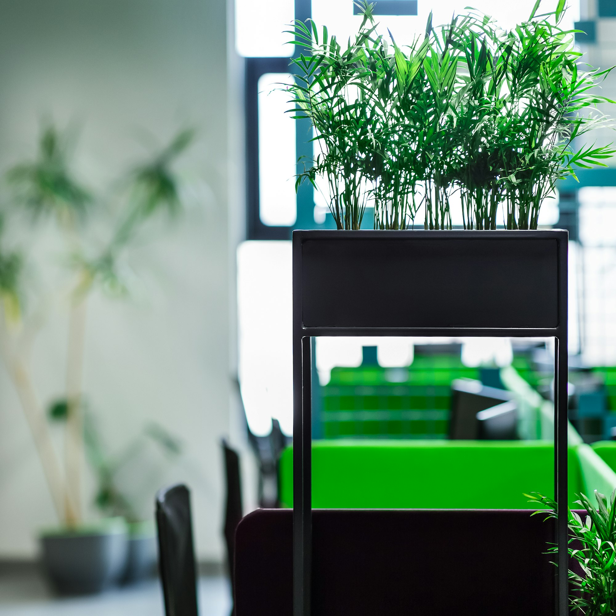 Green plants in modern open space office for freelancer